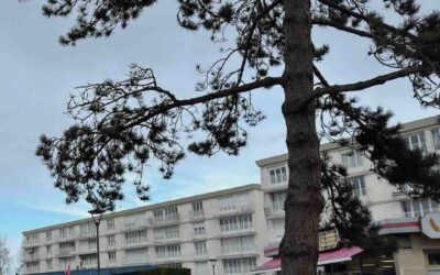 Nos propositions pour les quartiers Venoix et Beaulieu